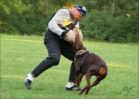 Summer training camp - Jelenec - 2007